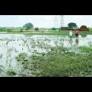 Nagpur Power Plants Making Water Toxic: Study